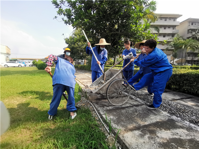 后勤部姐姐们，用砂石把草地空隙处补漏.jpg