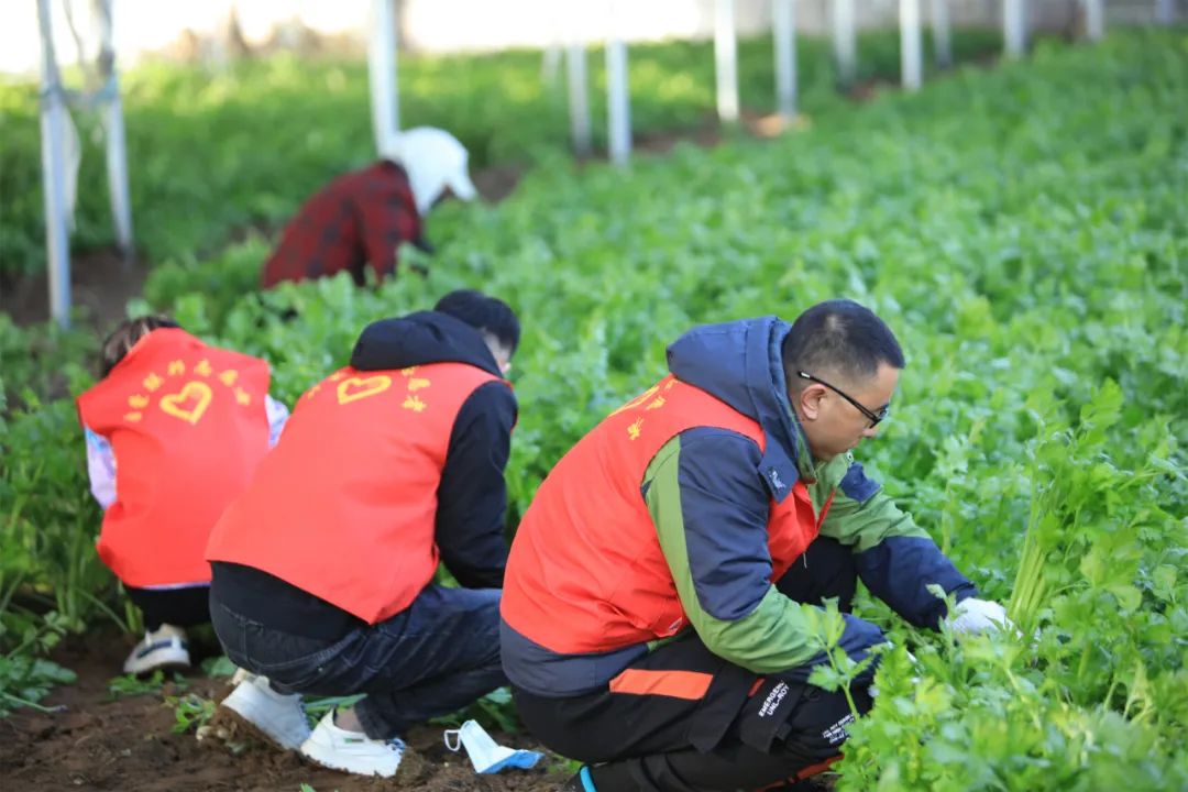 爱心助农，我们在行动！